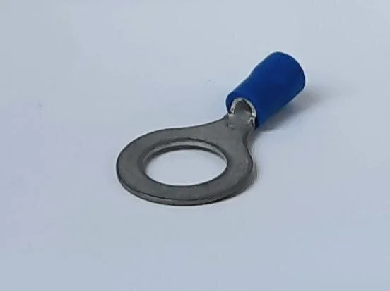 RV 2-10